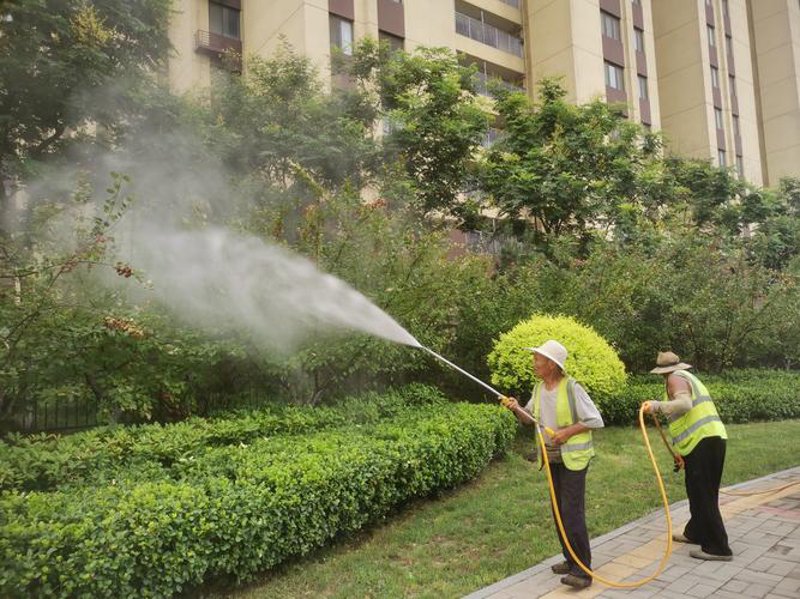 福州园林绿化的魅力与实践